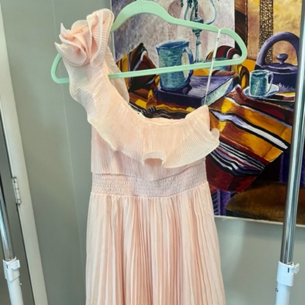 Blush Pink Pleated Chiffon Dress